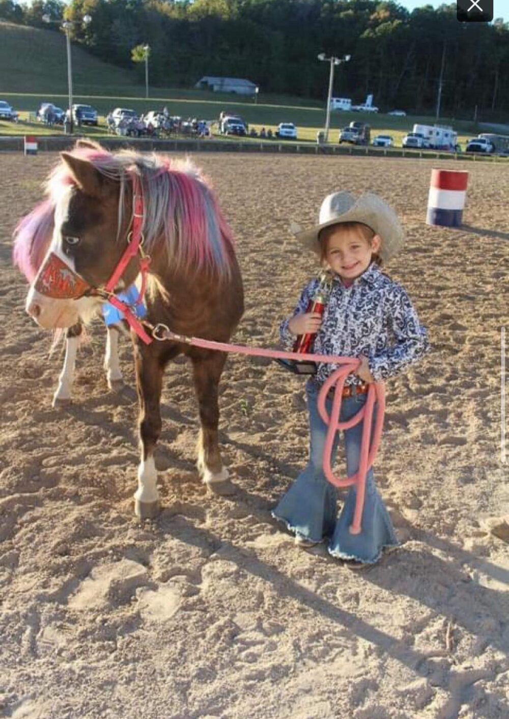 pee wee rodeo pony