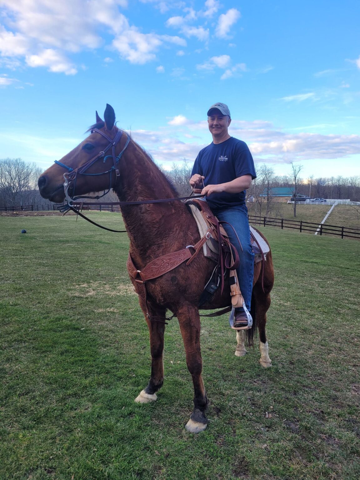 Tennessee Walking Horse Mare 14 yo REBA - Classic Horse Auction