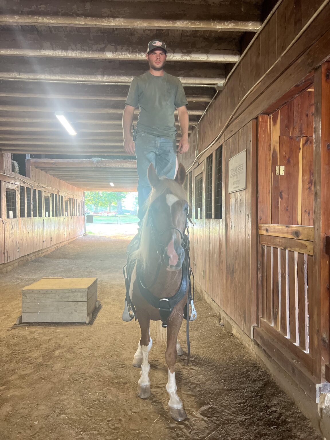 SPOTTED SADDLE GELDING COCHISE Classic Horse Auction