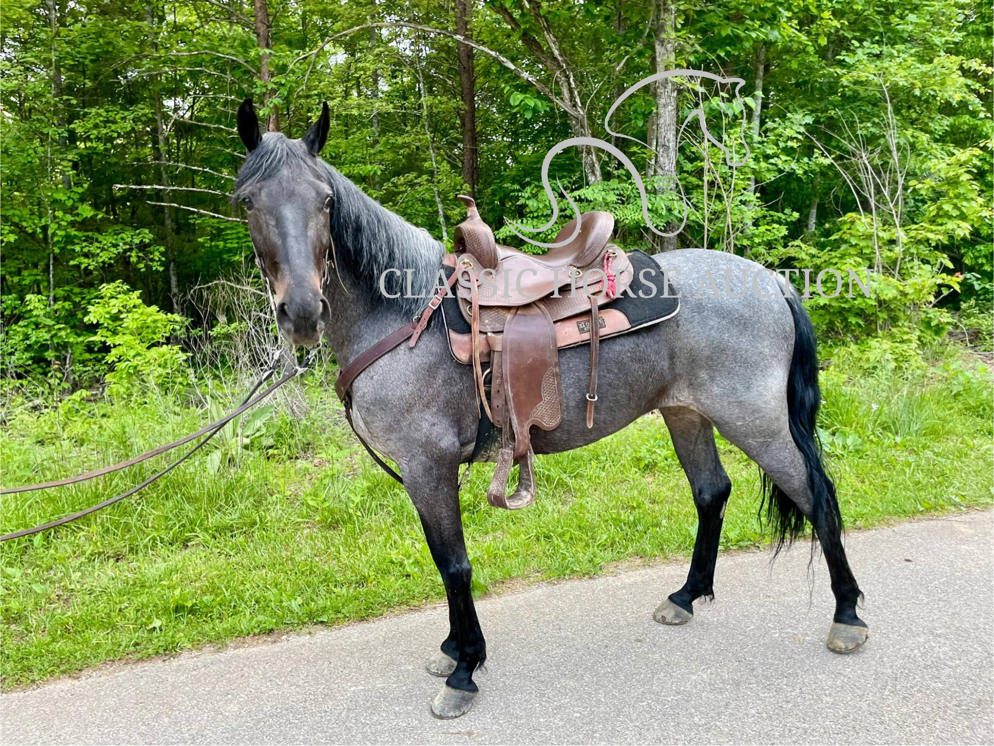 DELTA DAWN - Image 7