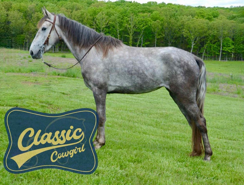 Whistlin' Miss Dixie "CLOUDY"
