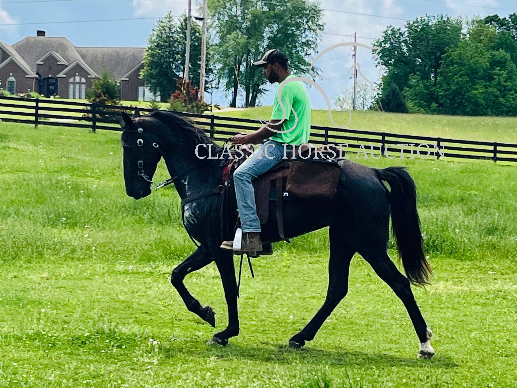 HONORING PALM BEACH - Image 17