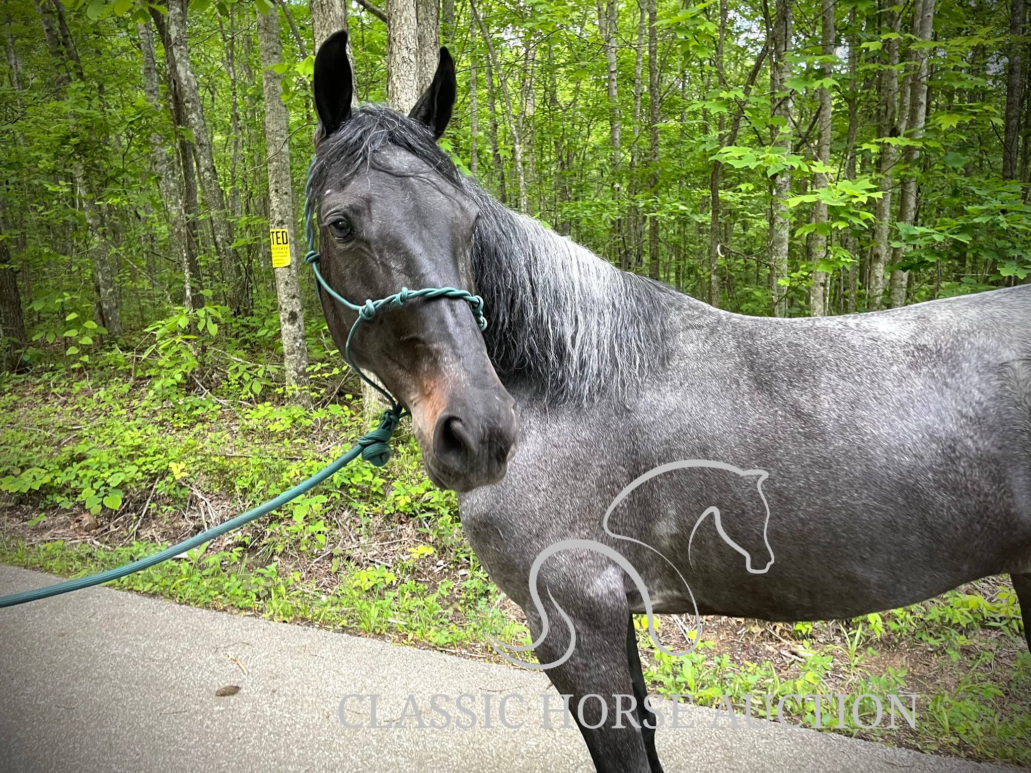 DELTA DAWN - Image 4