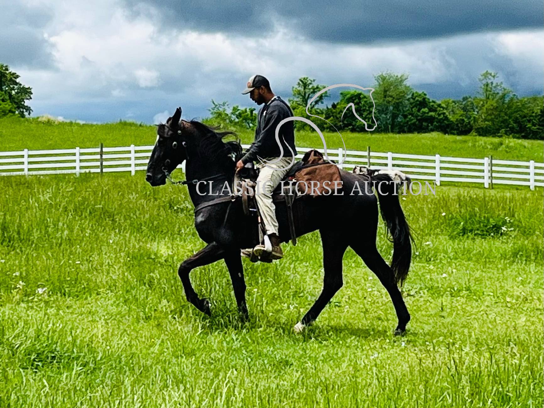 HONORING PALM BEACH - Image 11