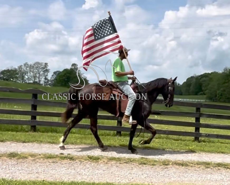 HONORING PALM BEACH - Image 7
