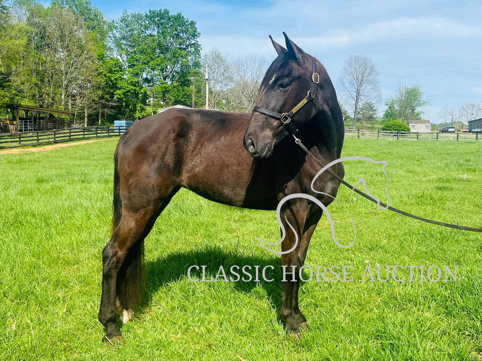 HONORING PALM BEACH - Image 15