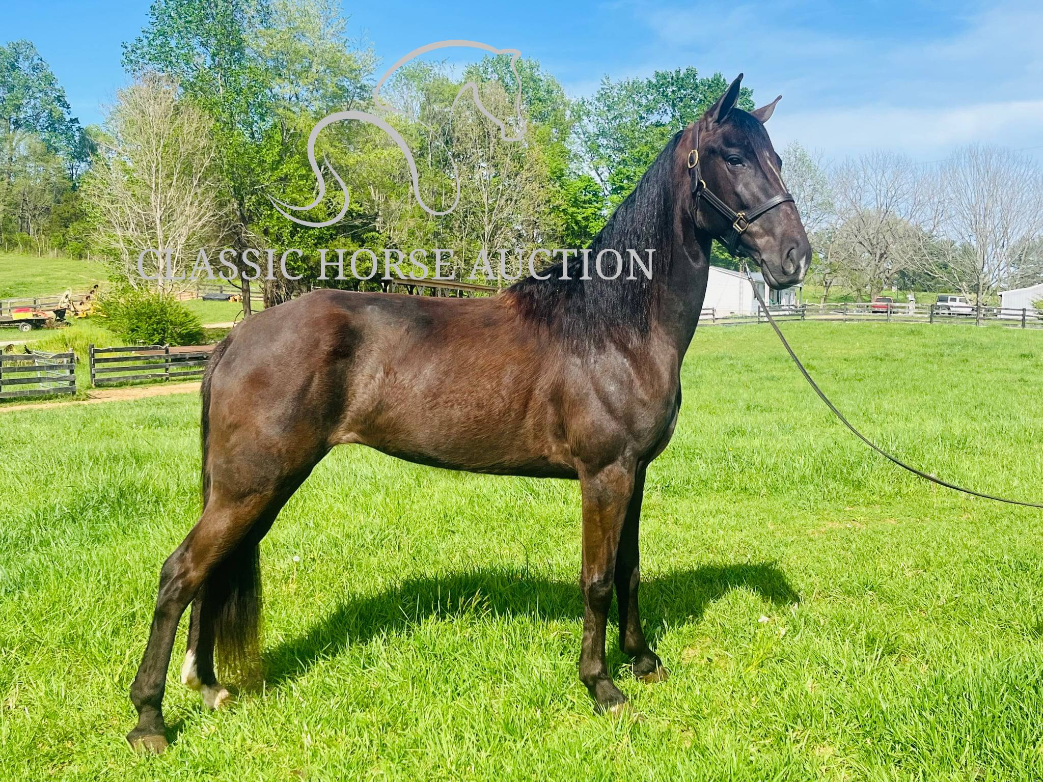 HONORING PALM BEACH - Image 18