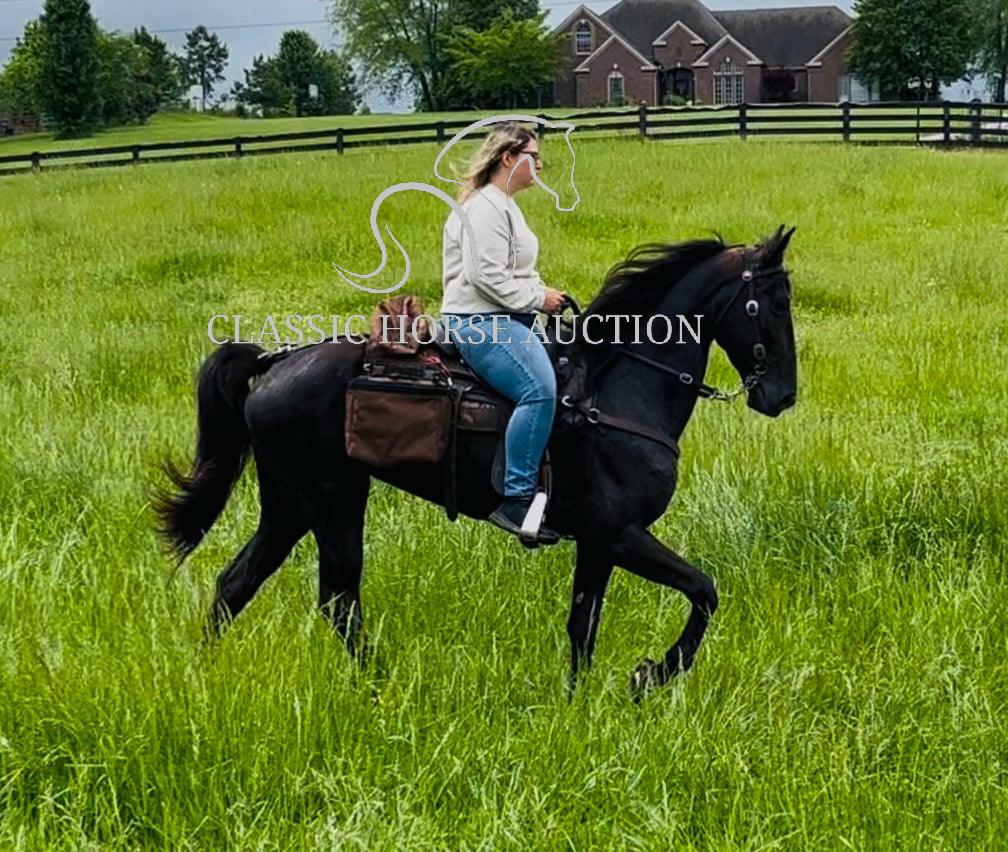 HONORING PALM BEACH - Image 9