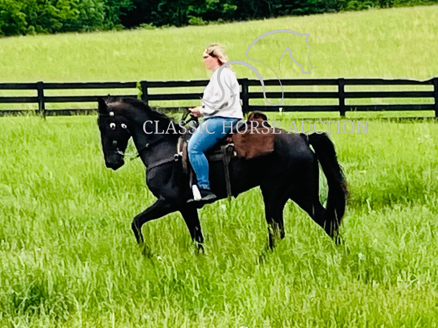 HONORING PALM BEACH - Image 16