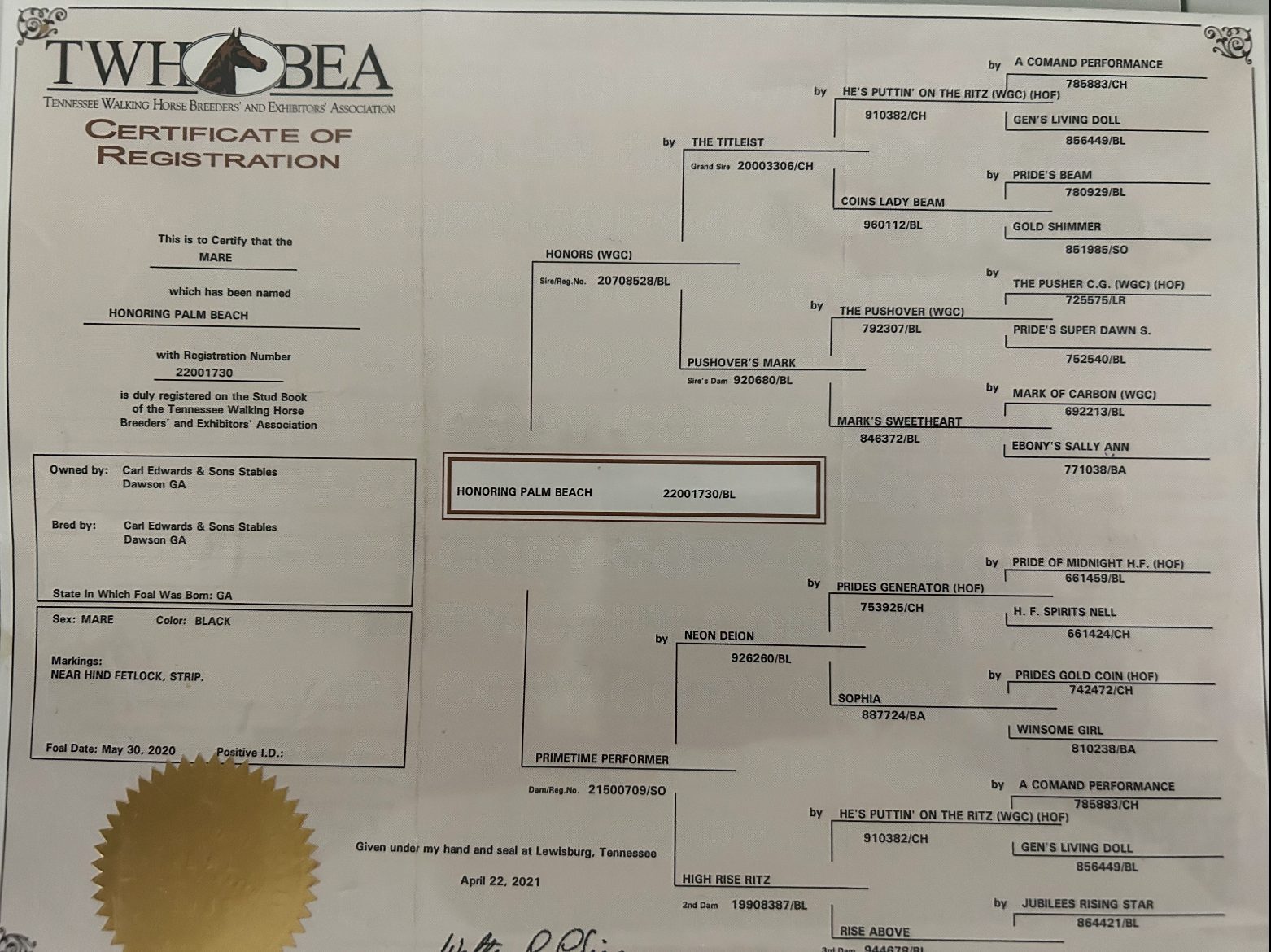 HONORING PALM BEACH - Image 2