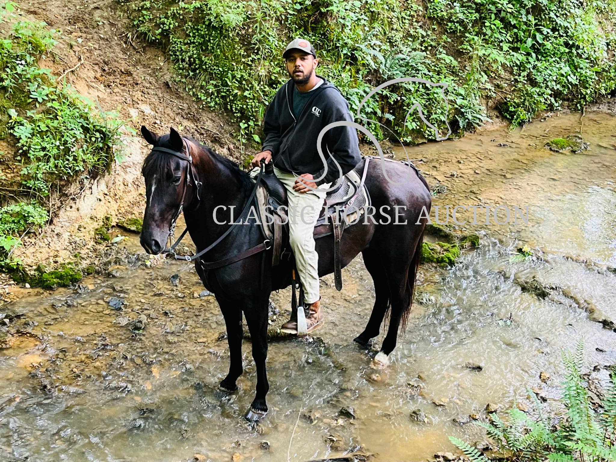 HONORING PALM BEACH - Image 12