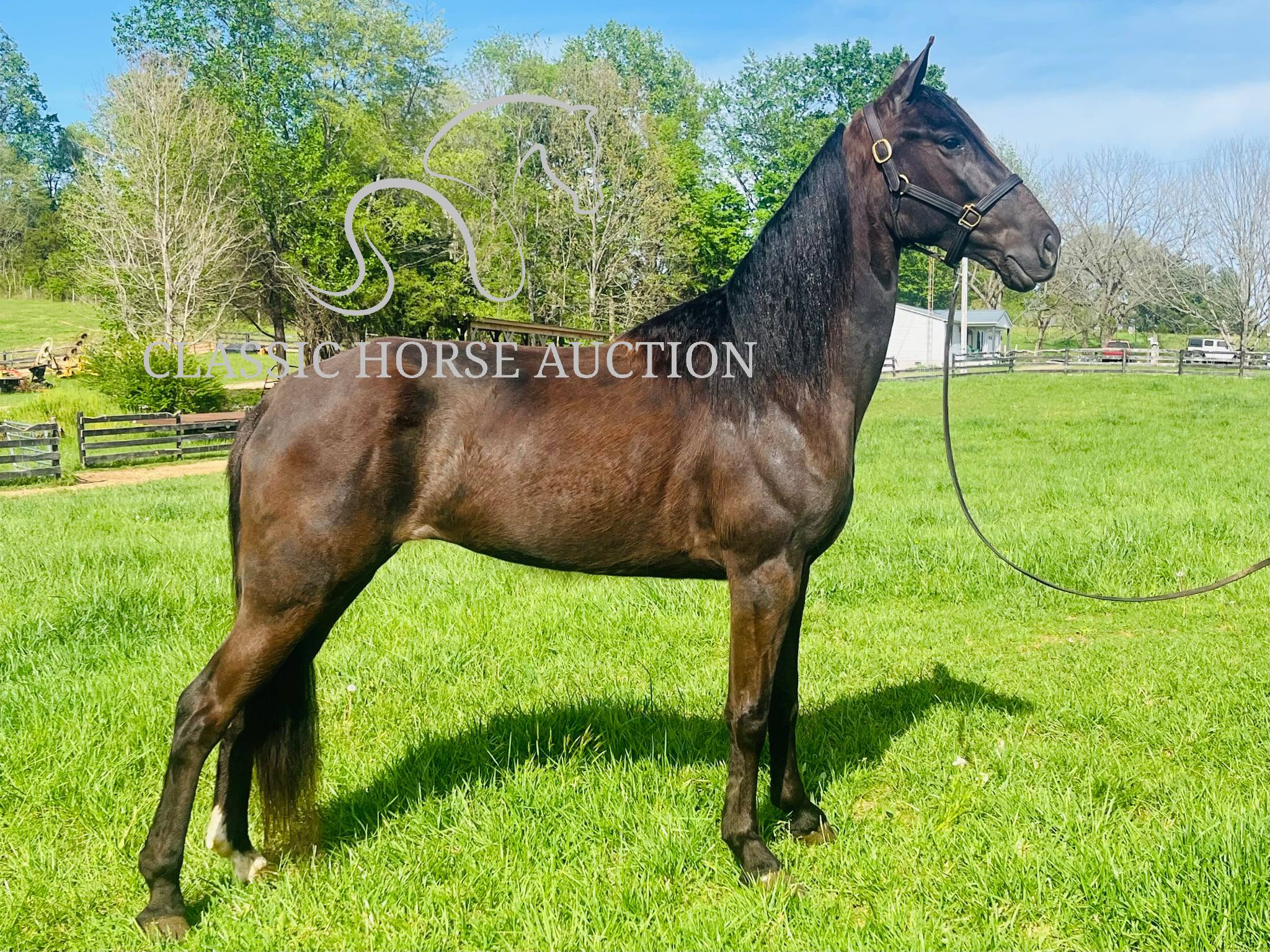 HONORING PALM BEACH - Image 14