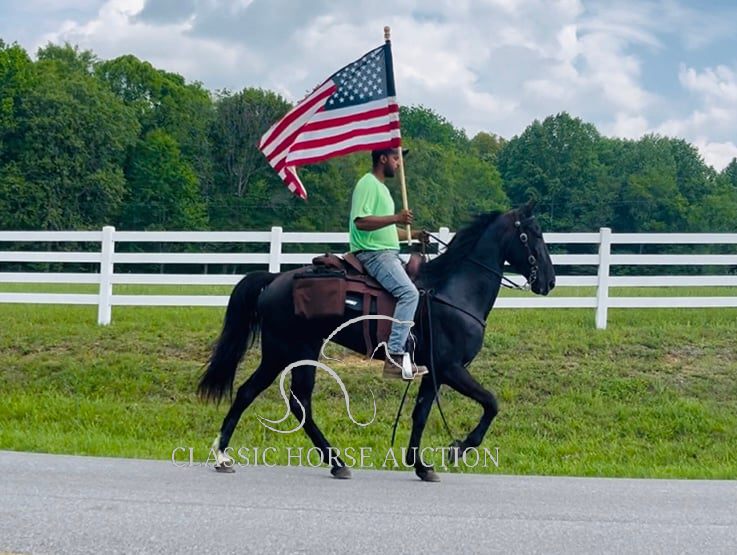 HONORING PALM BEACH - Image 6