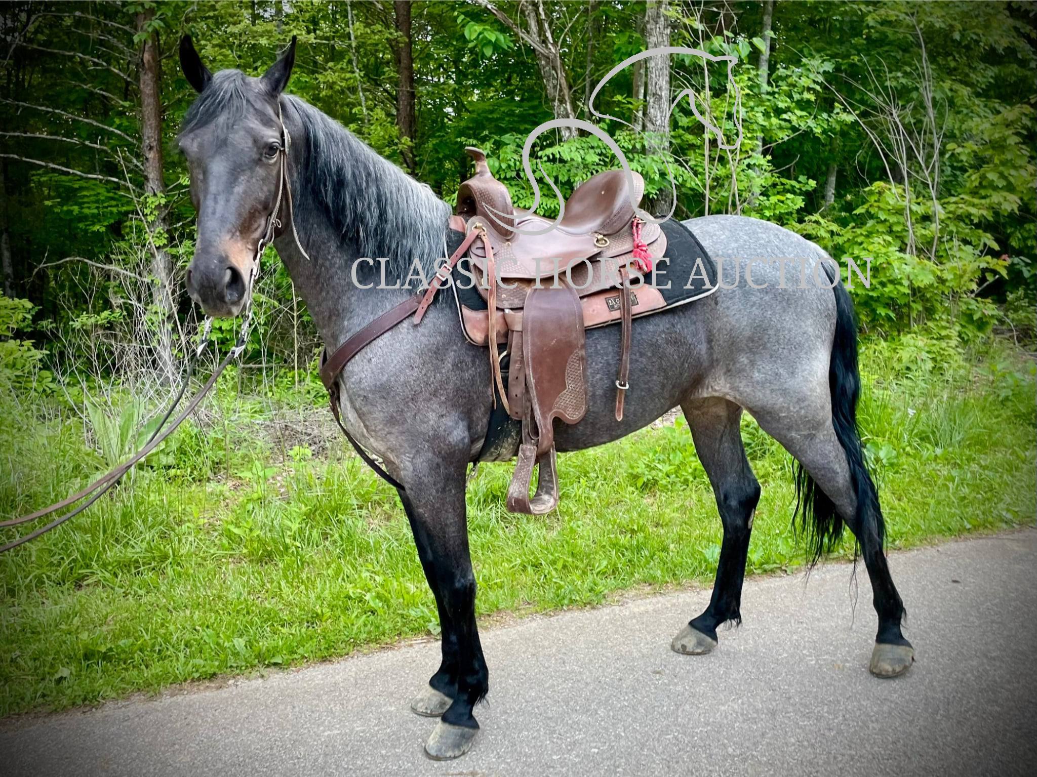 DELTA DAWN - Image 2