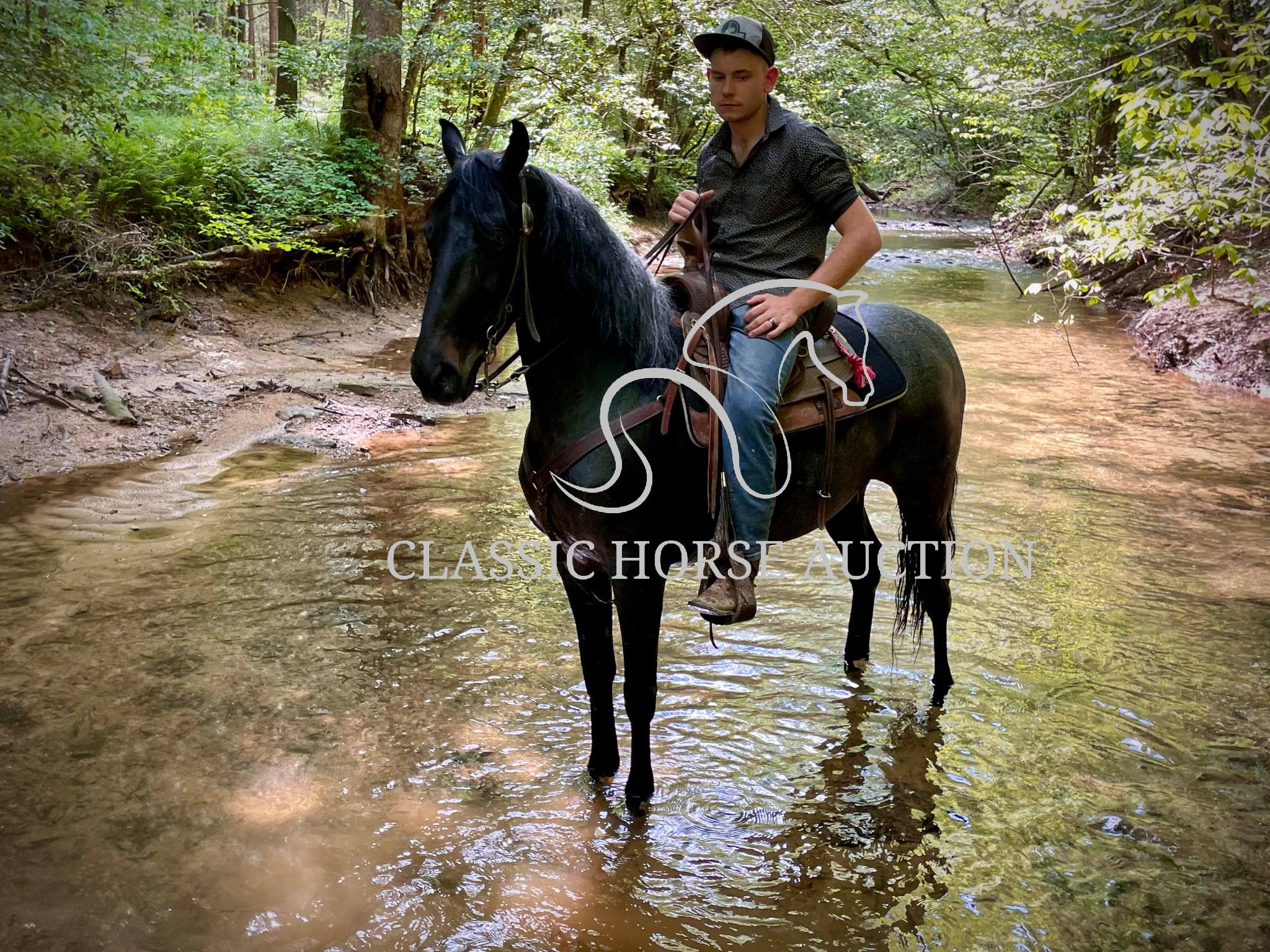 DELTA DAWN - Image 3