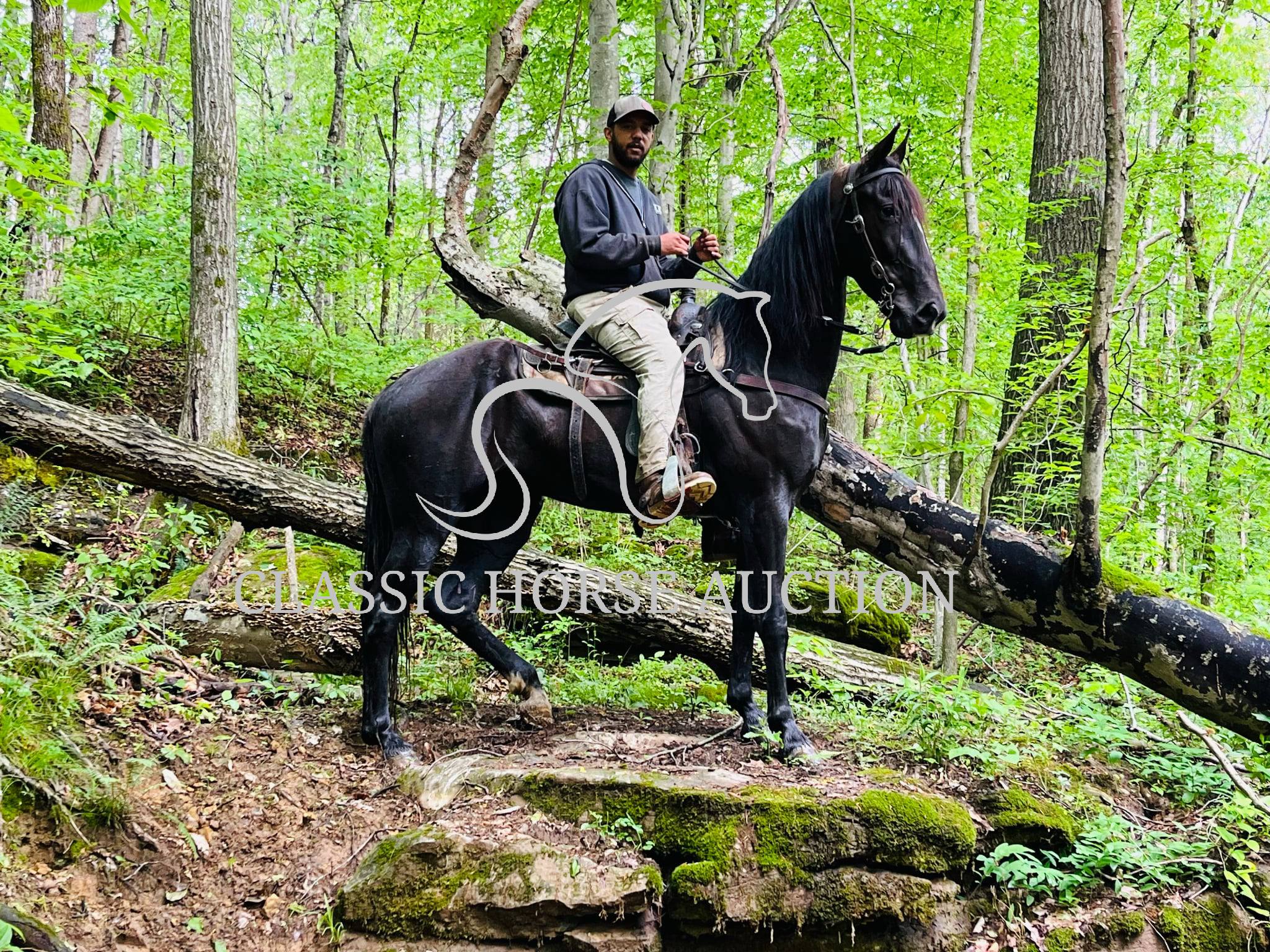 HONORING PALM BEACH - Image 19