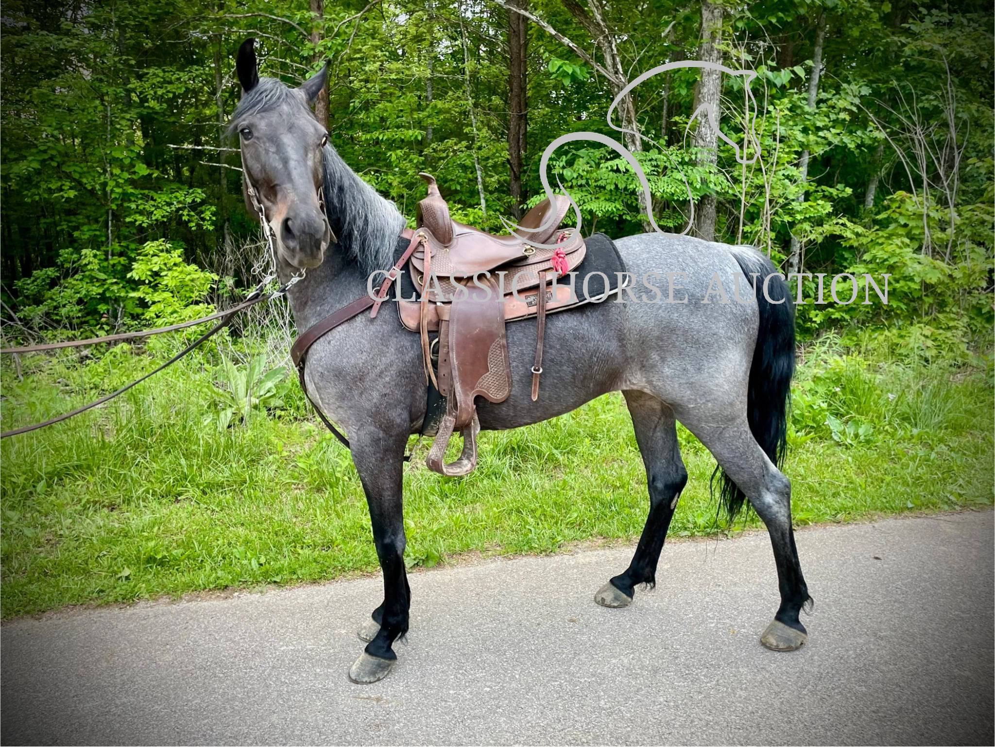 DELTA DAWN - Image 10