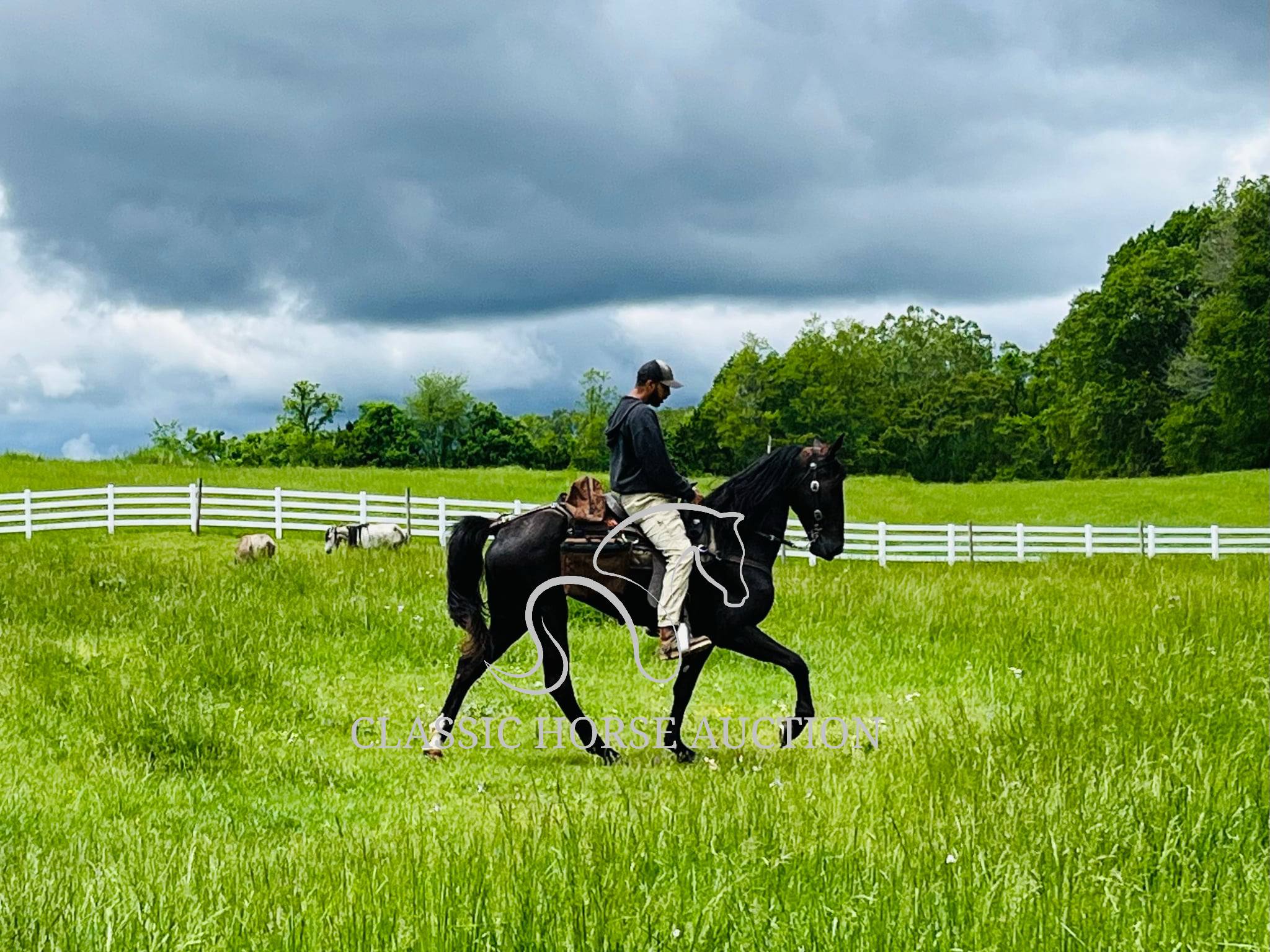 HONORING PALM BEACH - Image 20