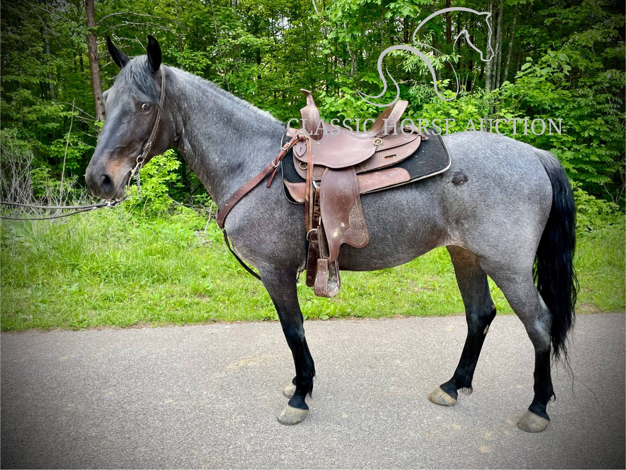 DELTA DAWN - Image 11