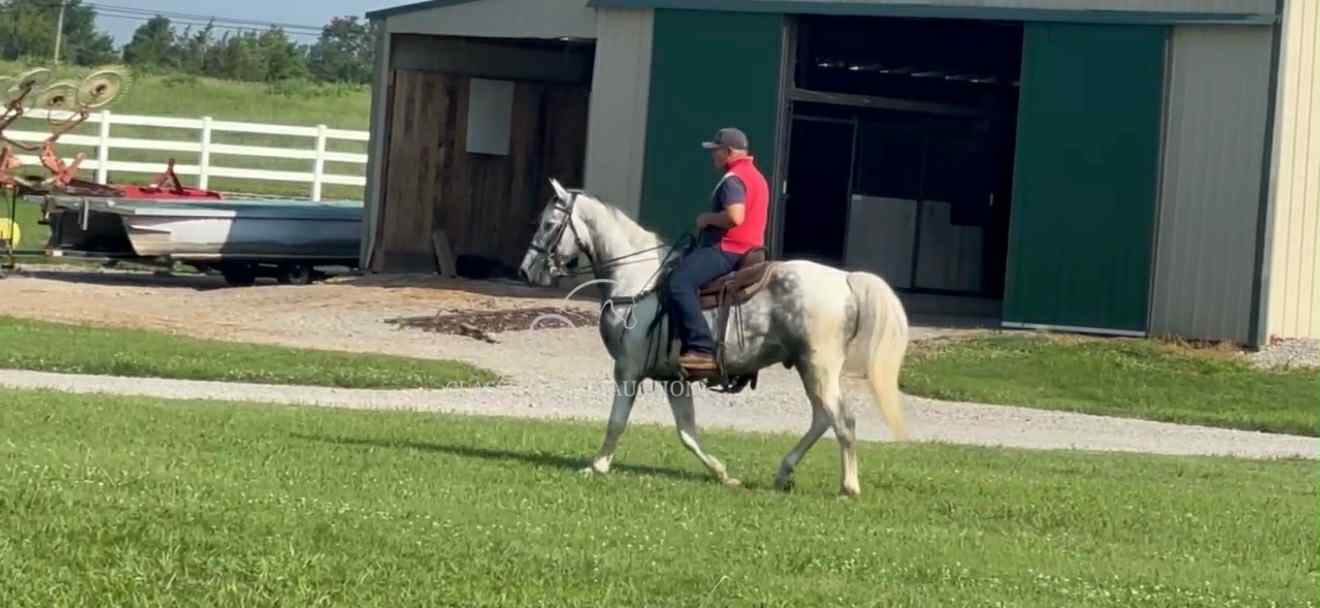 SILVER'S OUTLAW ACE - Image 3