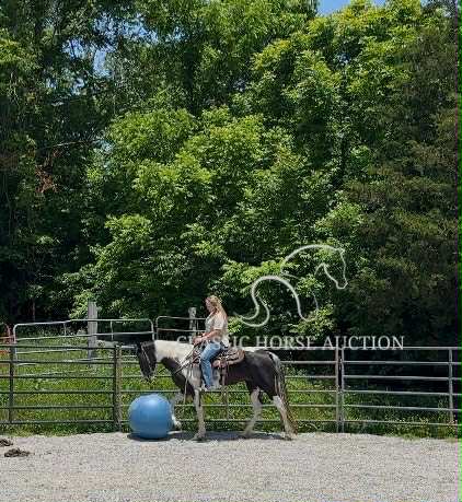 A LITTLE COWGIRLS DREAM - Image 8