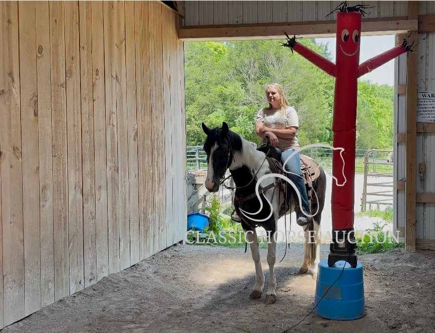 A LITTLE COWGIRLS DREAM - Image 5