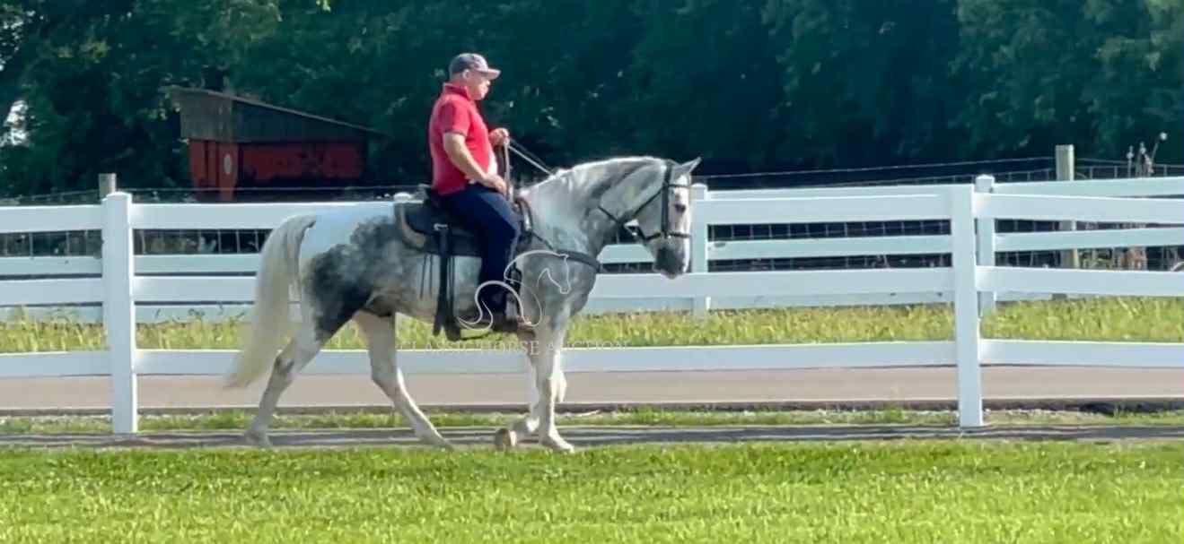 SILVER'S OUTLAW ACE - Image 11