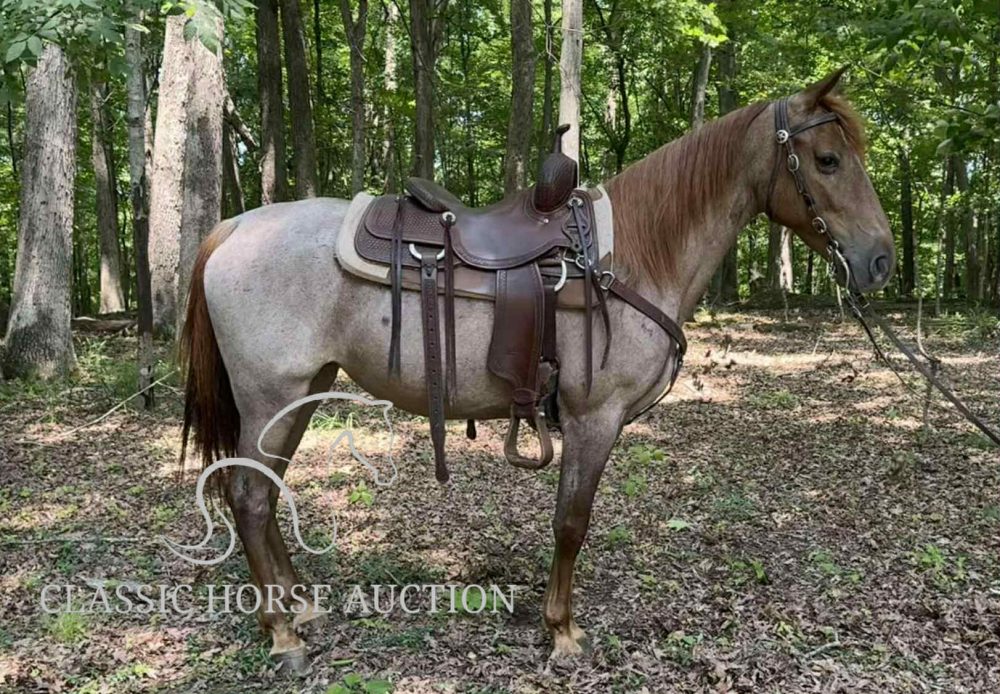 DOC'S MISS EASTER LILY **𝗡𝗘𝗪 𝗩𝗜𝗗𝗘𝗢 𝗔𝗗𝗗𝗘𝗗**