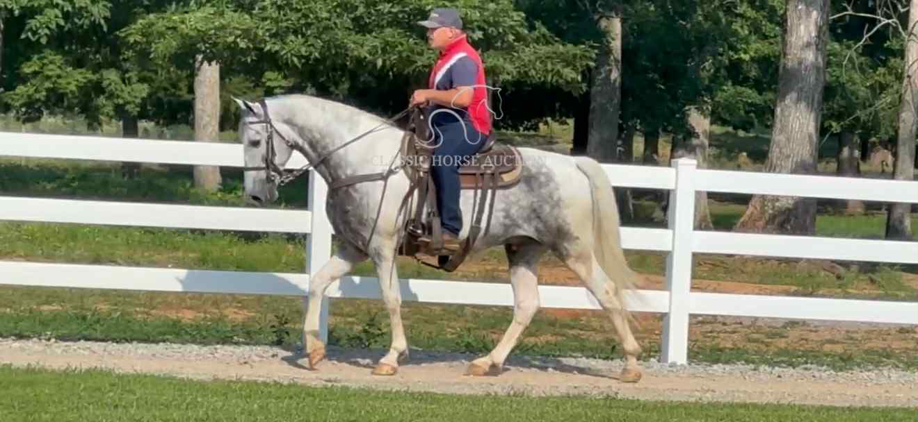 SILVER'S OUTLAW ACE - Image 2