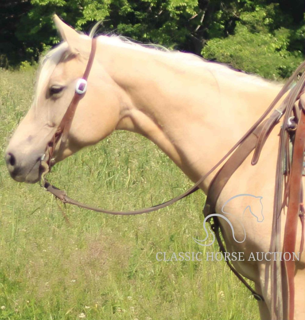 MISS SUNNI GOODS  "JENNY" - Image 3