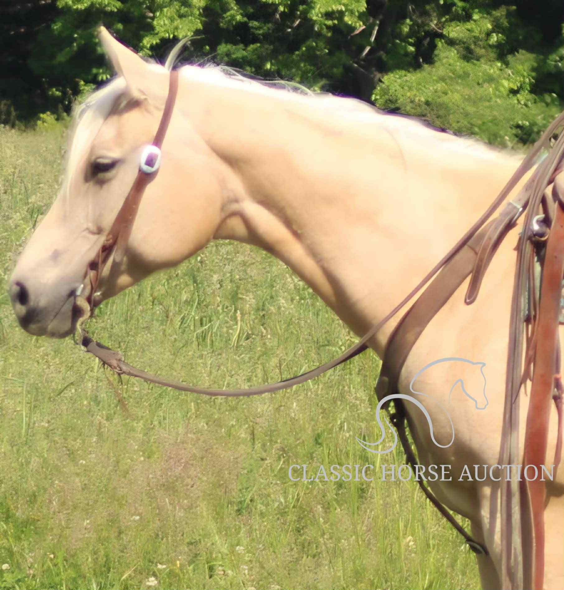 MISS SUNNI GOODS  "JENNY" - Image 3