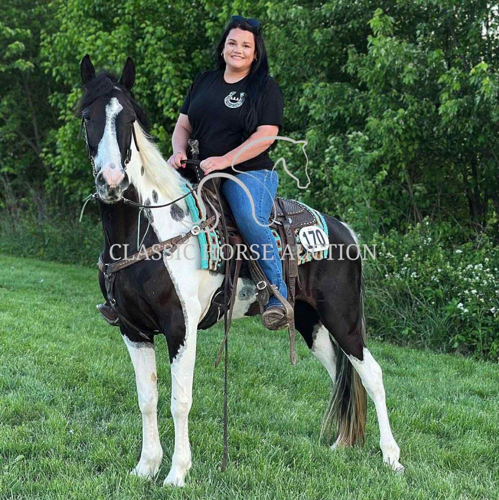 A LITTLE COWGIRLS DREAM - Image 13