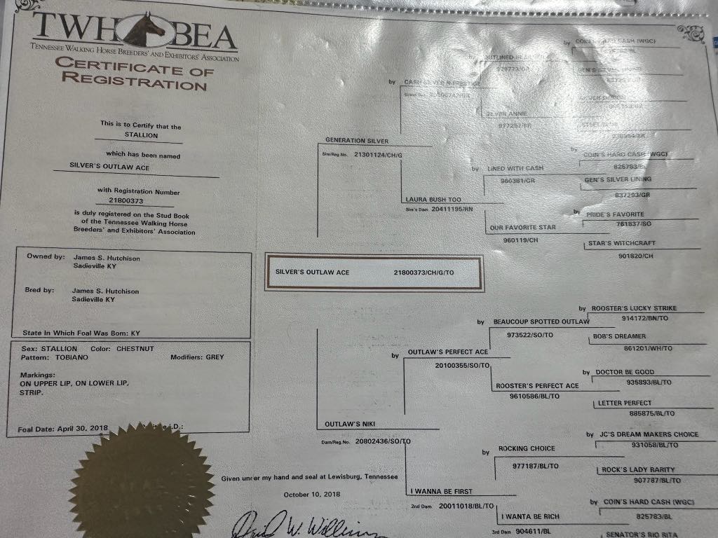 SILVER'S OUTLAW ACE - Image 9