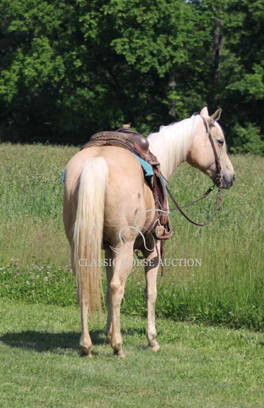 MISS SUNNI GOODS  "JENNY" - Image 4