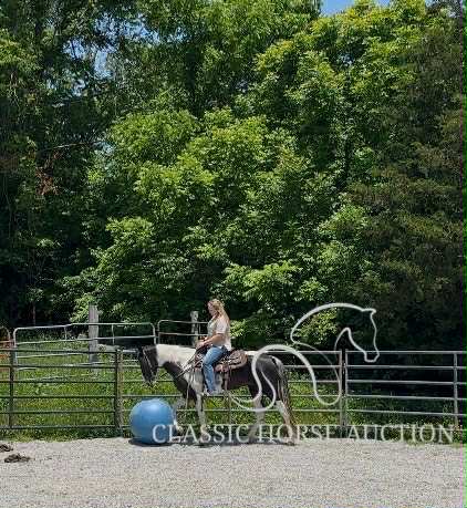 A LITTLE COWGIRLS DREAM - Image 7