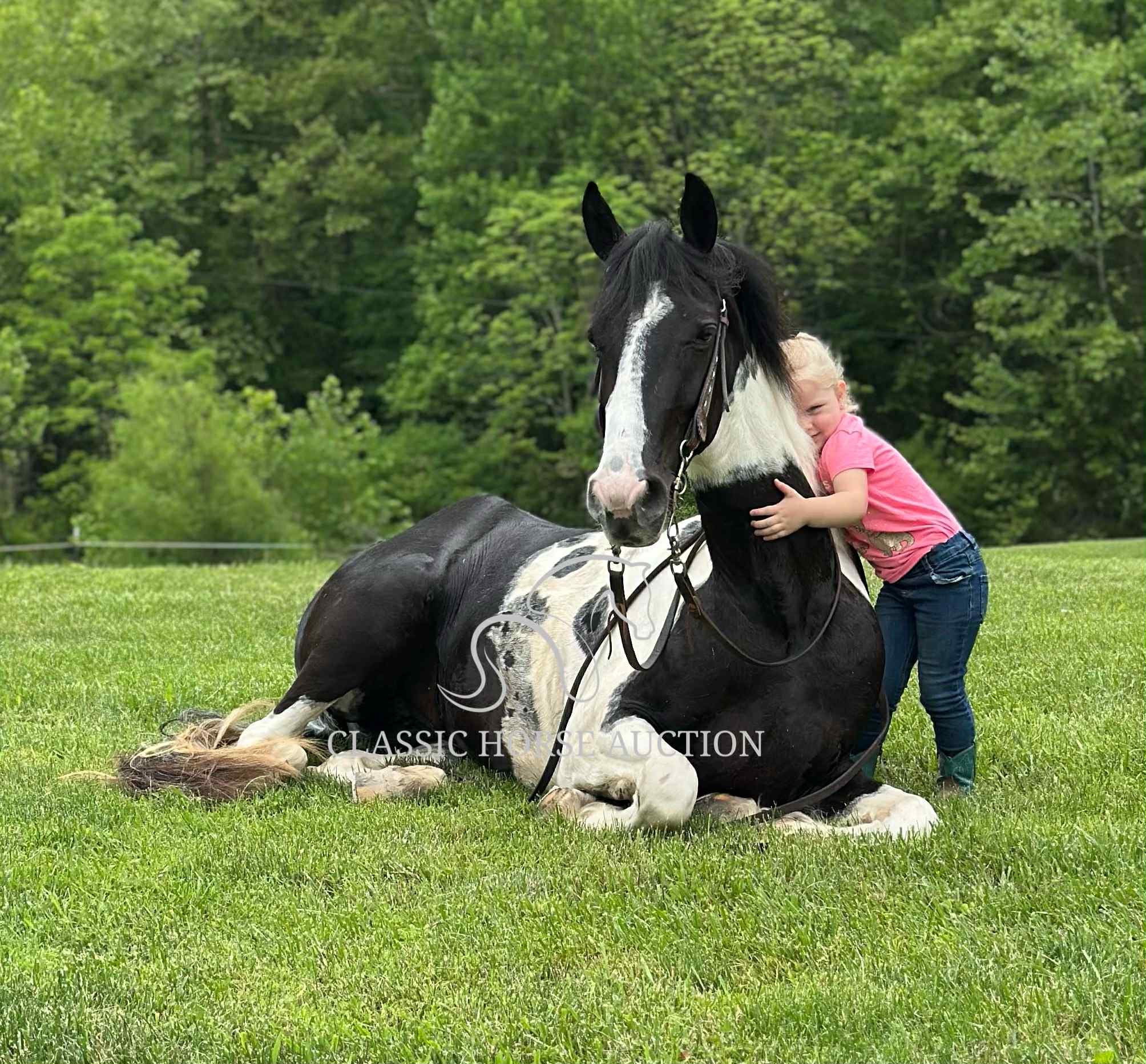 A LITTLE COWGIRLS DREAM - Image 9
