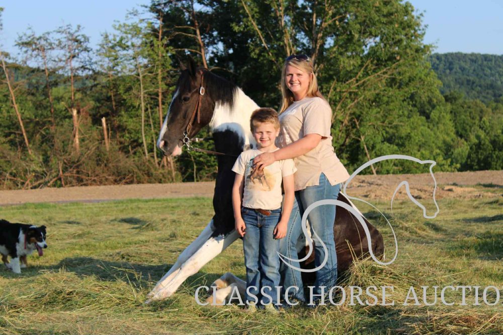 A LITTLE COWGIRLS DREAM
