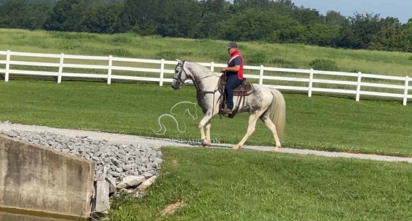 SILVER'S OUTLAW ACE - Image 10