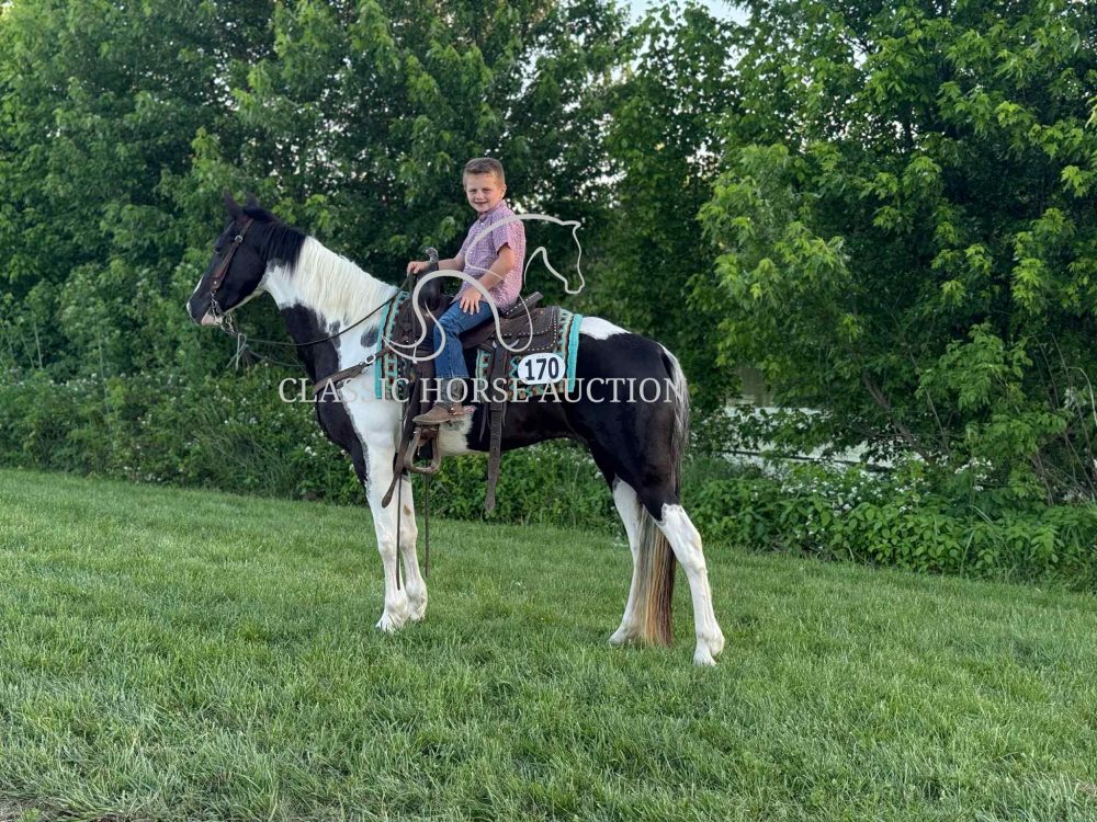 A LITTLE COWGIRLS DREAM - Image 15