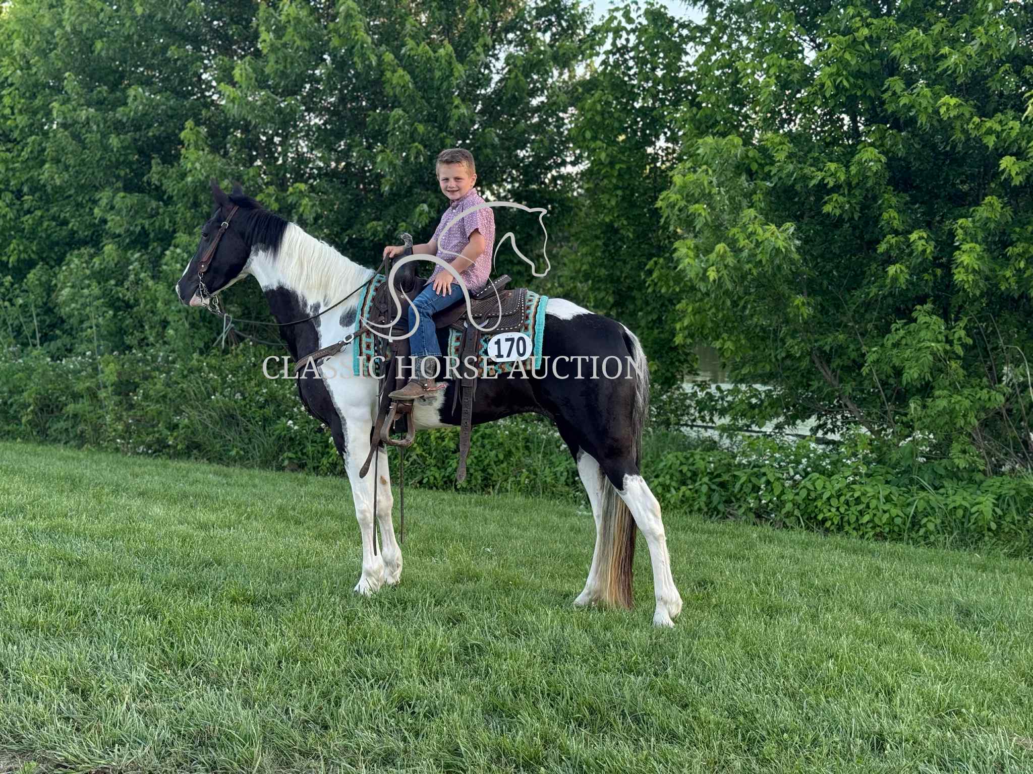 A LITTLE COWGIRLS DREAM - Image 15