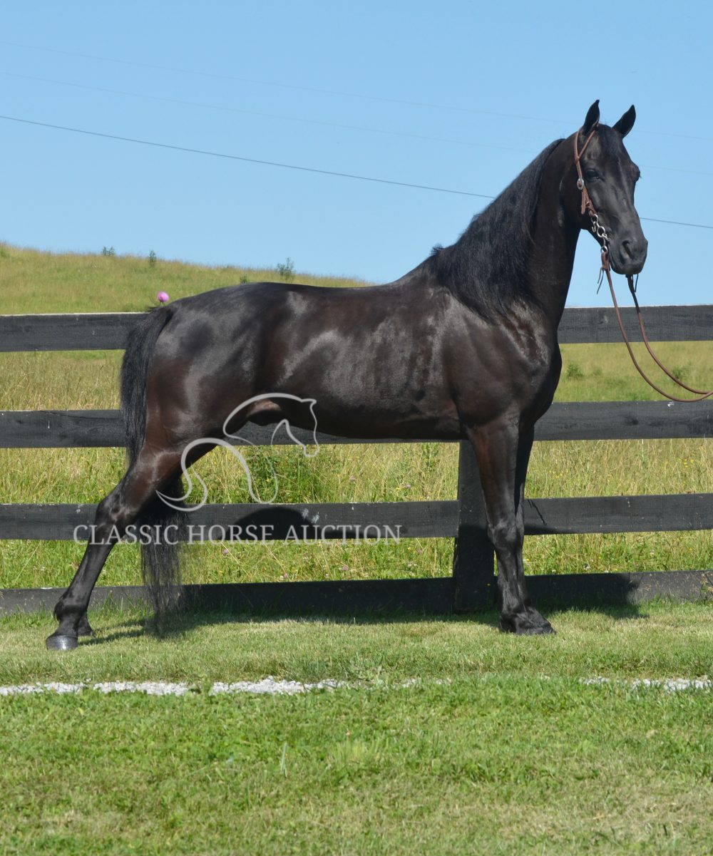 IT'S A LINE DRIVE "BURT"