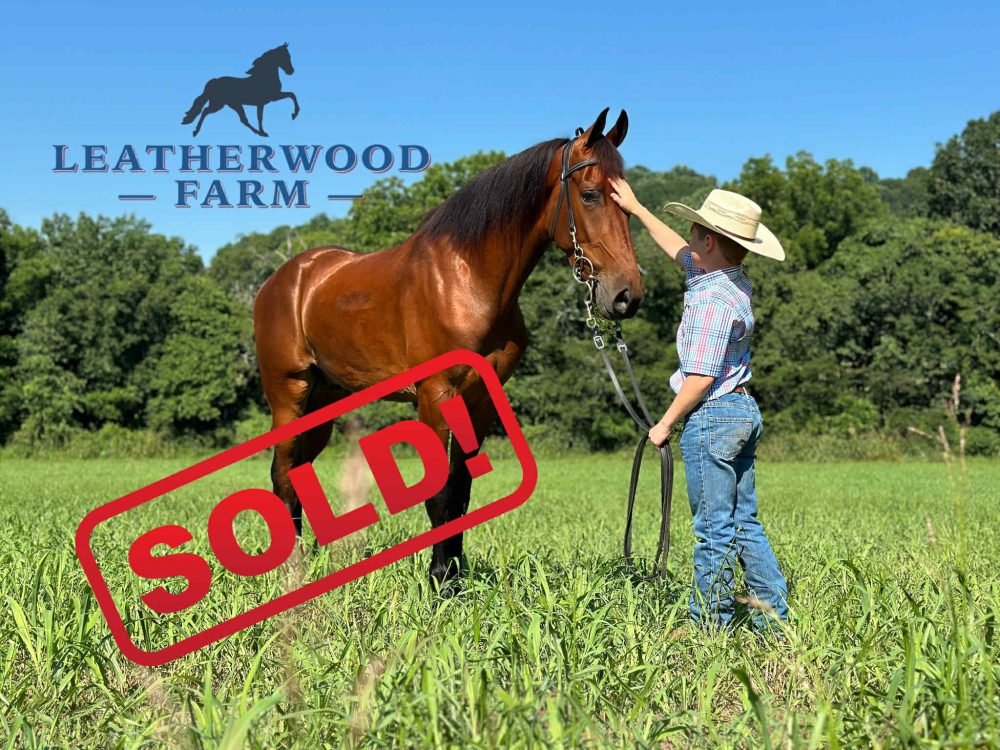 LANCASTER -SOLD