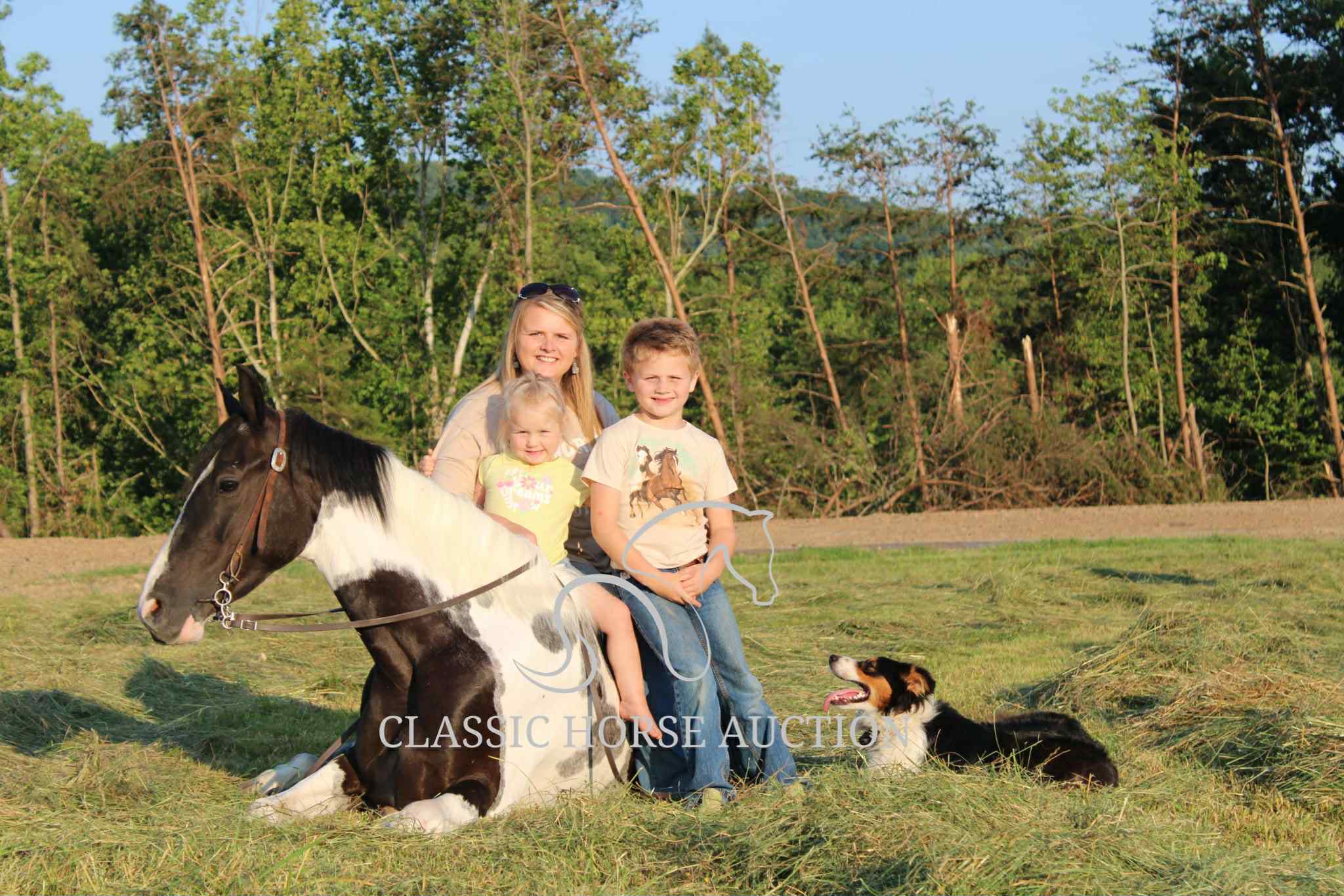 A LITTLE COWGIRLS DREAM - Image 10