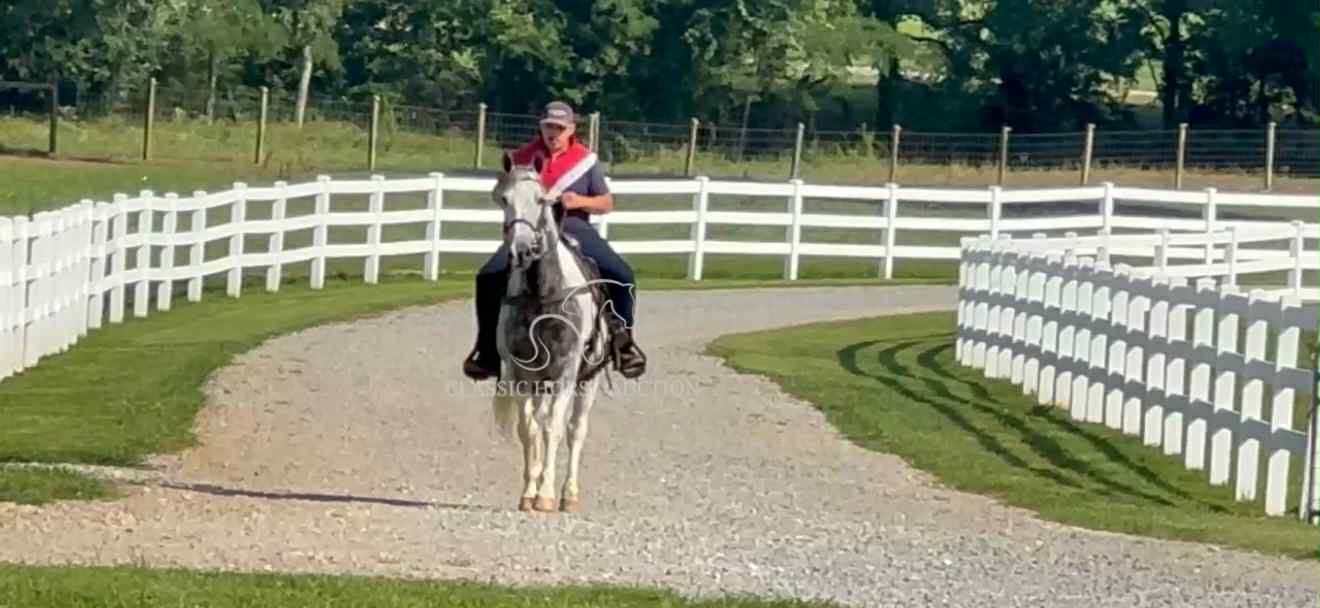 SILVER'S OUTLAW ACE - Image 13