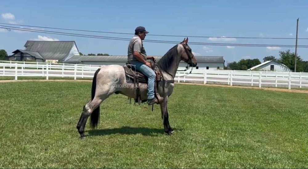 COLTER - Image 8