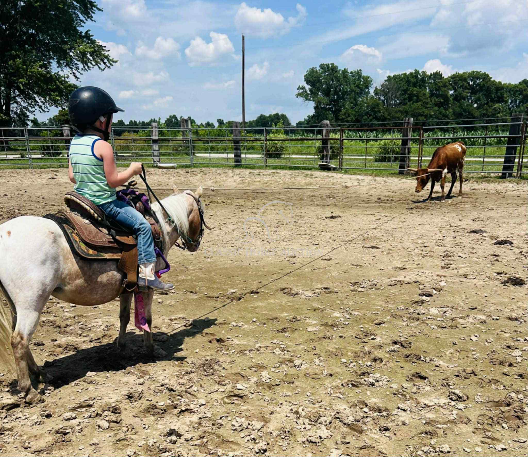 STRAWBERRY & CURLY - Image 33