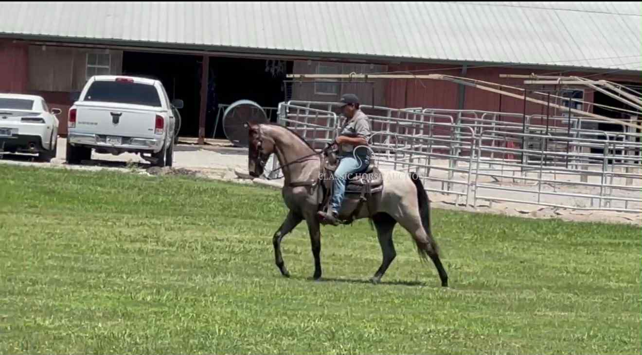 COLTER - Image 6
