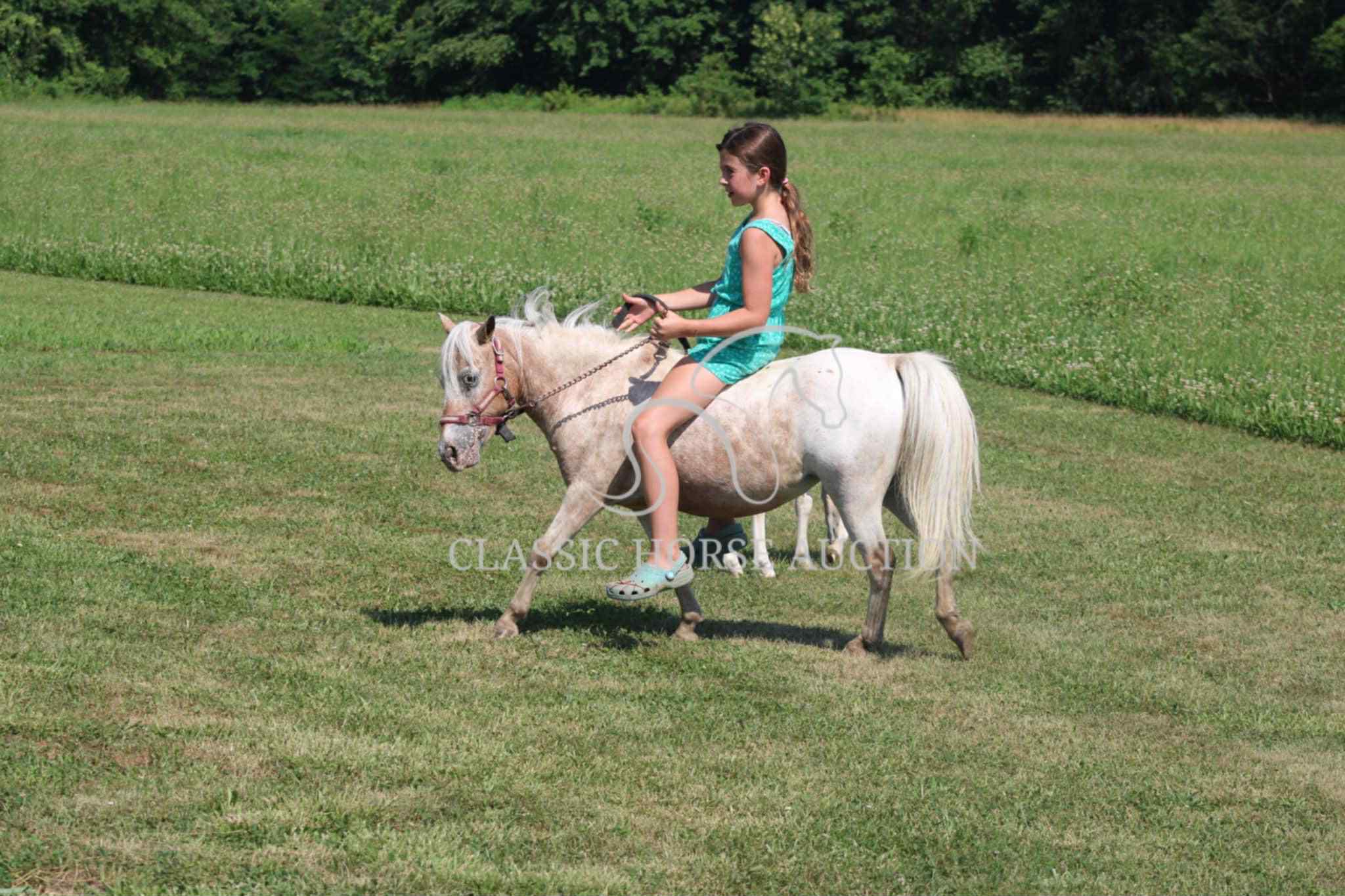 STRAWBERRY & CURLY - Image 3