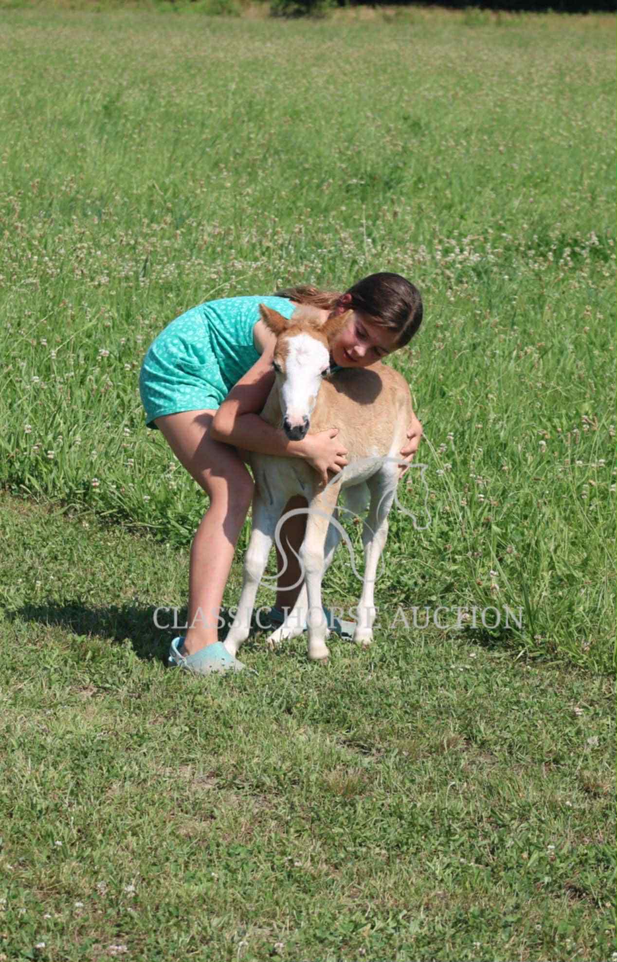 STRAWBERRY & CURLY - Image 15