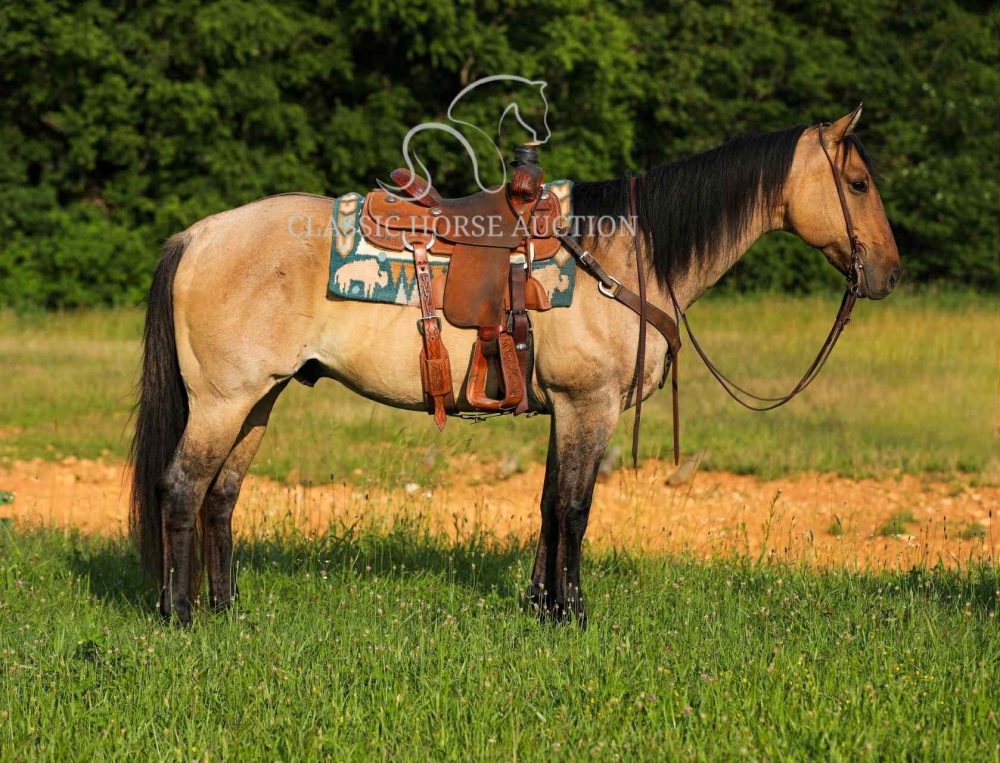 RW RATTLE DARTS CAGE “RIP"